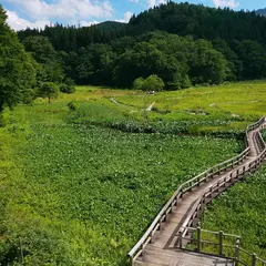たきがしら湿原