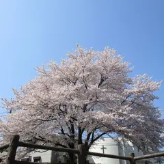 八津池公園