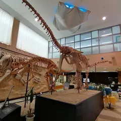 甑󠄀ミュージアム恐竜化石等準備室
