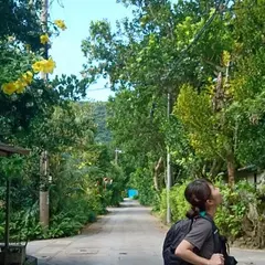 イルンティ フタデムラ ＜西表島＞