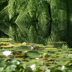 弥生の森歴史公園