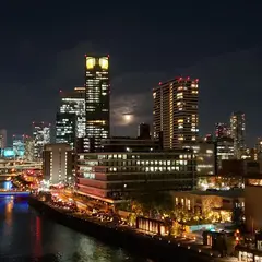 ユニハイム中之島堂島川タワーレジデンス