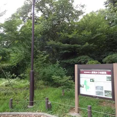 成城みつ池緑地