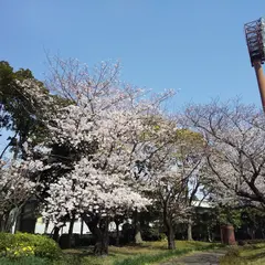入船公園