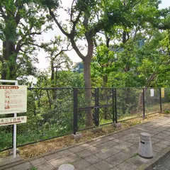 岡本三丁目緑地