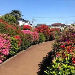 烏山つつじ緑地