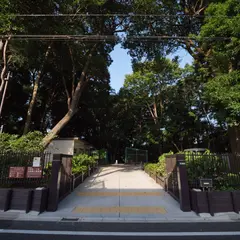 世田谷区自然観察林