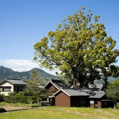 関川神社