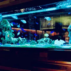 新宿ライム