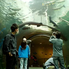 栃木県なかがわ水遊園