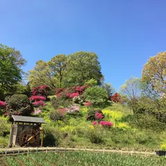 横須賀しょうぶ園
