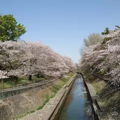 善福寺川緑地公園