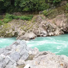 一里保木のあじさい園