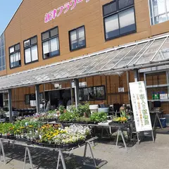 新津フラワーランド