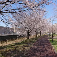 三沢川親水公園