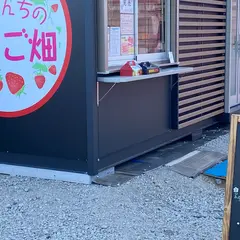 上原さんちのいちご畑