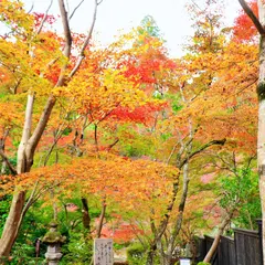 四季の山地庭園 泉恵園