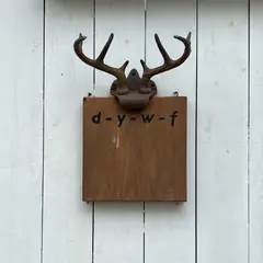d-y-w-f