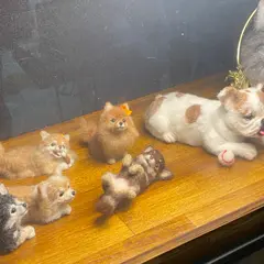 felt cocoart