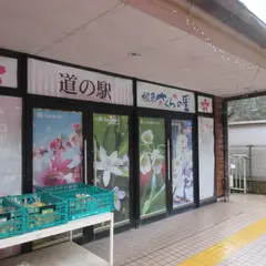 道の駅根来さくらの里