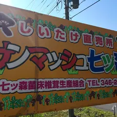 サンマッシュ七ッ森