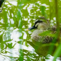 軽井沢タリアセン