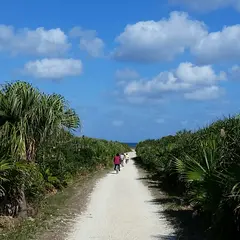 ハビャーン（カベール岬）