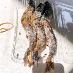 フィッシングエリア やま里
