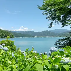 余呉湖あじさい園