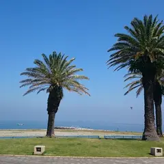 白谷海浜公園