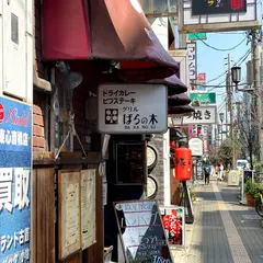 ばらの木