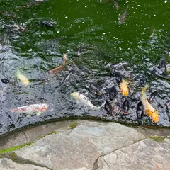 愛宕神社