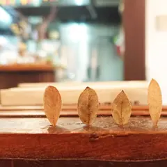 ごはんと珈琲アルト