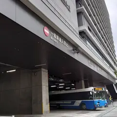 サクラマチクマモト