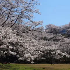 水の広場