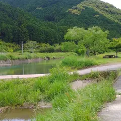黒川 蛍の郷