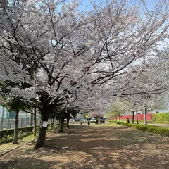 小山公園