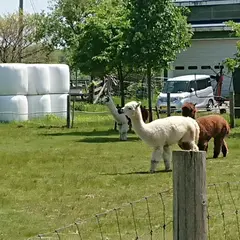 えこりん村 みどりの牧場