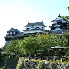 松山城駐車場（松山市喜与町駐車場）