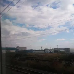 一本松公園