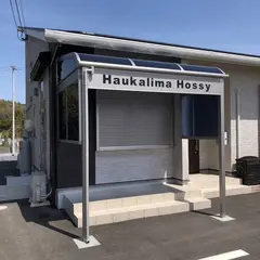 Haukalima Hossy
