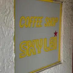 スカイレイ