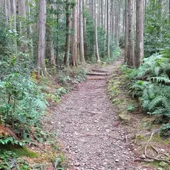 熊野古道中辺路（発心門王子～熊野本宮大社）