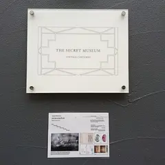 THESECRETMUSEUM