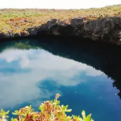 通り池
