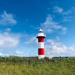 はまなすの丘公園