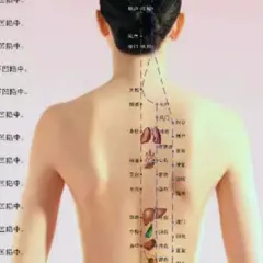 好来中華整体院