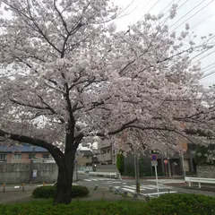 五町公園