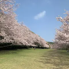 東伊豆クロスカントリーコース