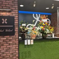 Salad Ballad 【サラダ バラッド】